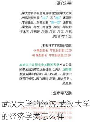 武汉大学的经济,武汉大学的经济学类怎么样