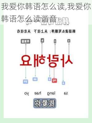 我爱你韩语怎么读,我爱你韩语怎么读谐音