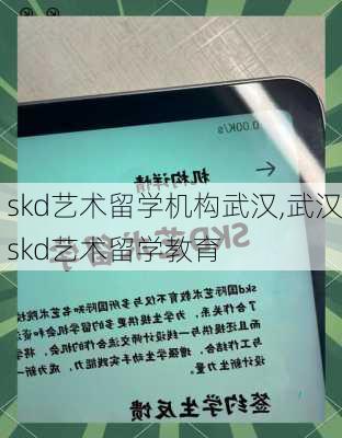 skd艺术留学机构武汉,武汉skd艺术留学教育