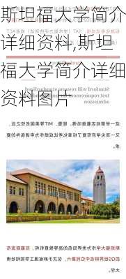 斯坦福大学简介详细资料,斯坦福大学简介详细资料图片