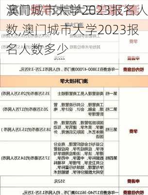 澳门城市大学2023报名人数,澳门城市大学2023报名人数多少