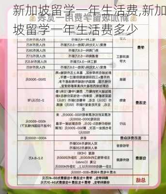 新加坡留学一年生活费,新加坡留学一年生活费多少