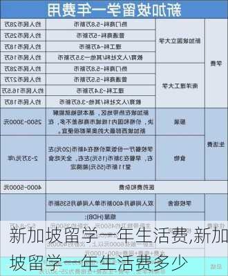 新加坡留学一年生活费,新加坡留学一年生活费多少