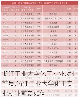 浙江工业大学化工专业就业前景,浙江工业大学化工专业就业前景如何