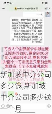 新加坡中介公司多少钱,新加坡中介公司多少钱一个月