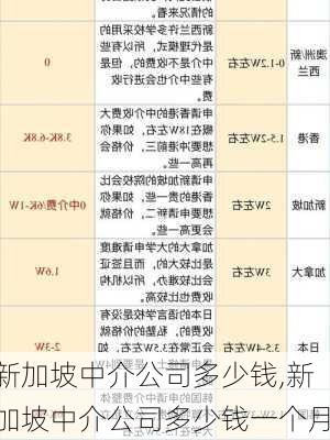 新加坡中介公司多少钱,新加坡中介公司多少钱一个月