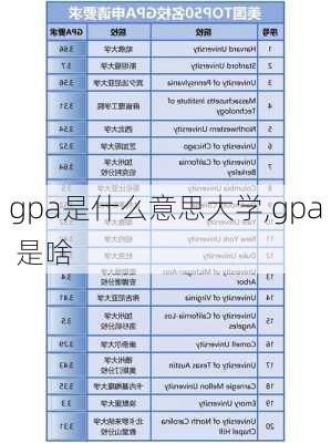 gpa是什么意思大学,gpa 是啥