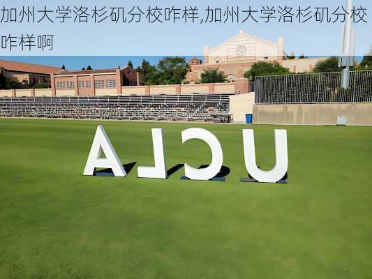 加州大学洛杉矶分校咋样,加州大学洛杉矶分校咋样啊