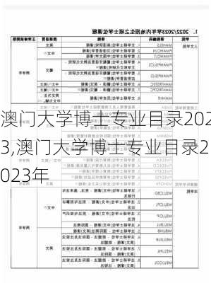 澳门大学博士专业目录2023,澳门大学博士专业目录2023年