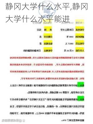 静冈大学什么水平,静冈大学什么水平能进