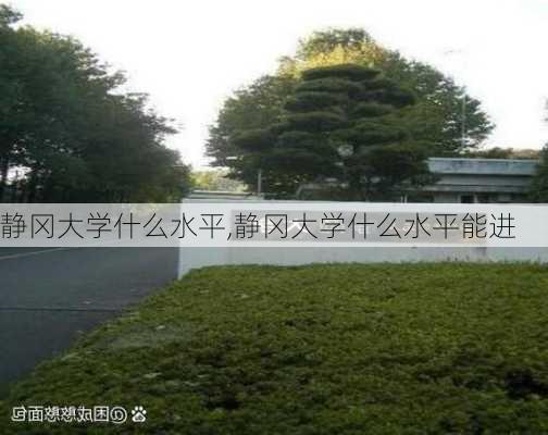 静冈大学什么水平,静冈大学什么水平能进