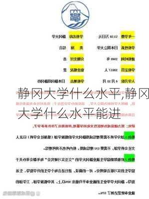 静冈大学什么水平,静冈大学什么水平能进