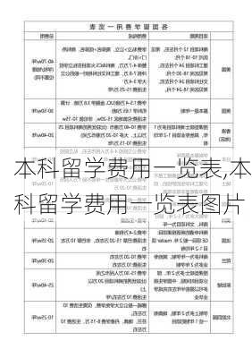 本科留学费用一览表,本科留学费用一览表图片