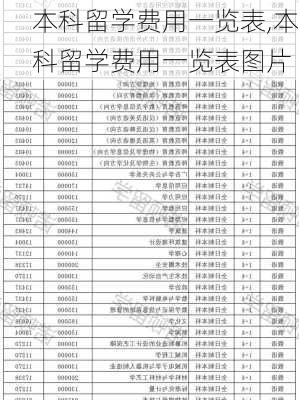 本科留学费用一览表,本科留学费用一览表图片