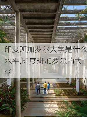 印度班加罗尔大学是什么水平,印度班加罗尔的大学