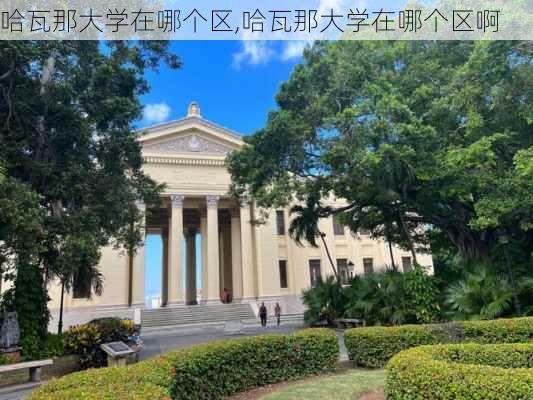 哈瓦那大学在哪个区,哈瓦那大学在哪个区啊