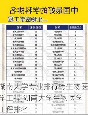 湖南大学专业排行榜生物医学工程,湖南大学生物医学工程排名