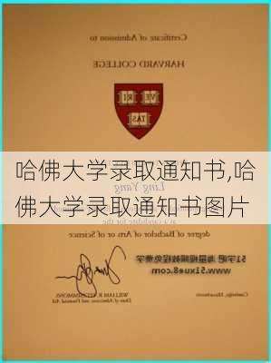 哈佛大学录取通知书,哈佛大学录取通知书图片