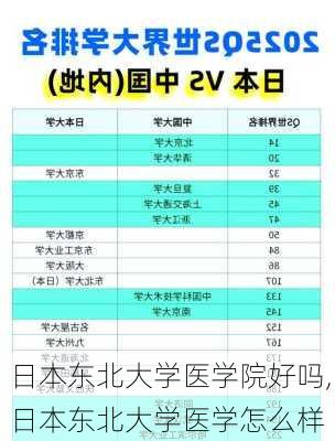 日本东北大学医学院好吗,日本东北大学医学怎么样