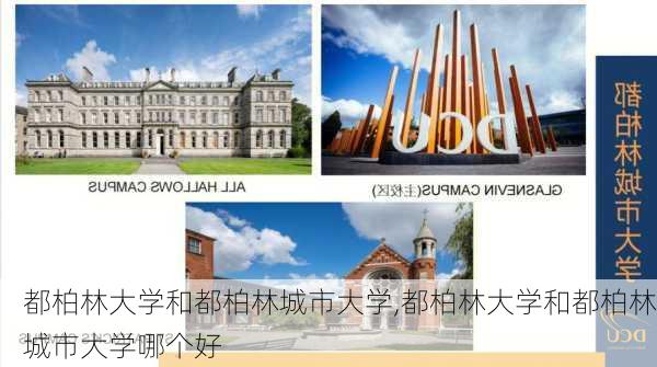 都柏林大学和都柏林城市大学,都柏林大学和都柏林城市大学哪个好