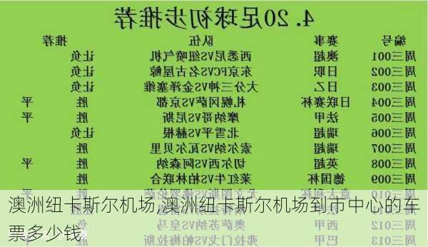 澳洲纽卡斯尔机场,澳洲纽卡斯尔机场到市中心的车票多少钱