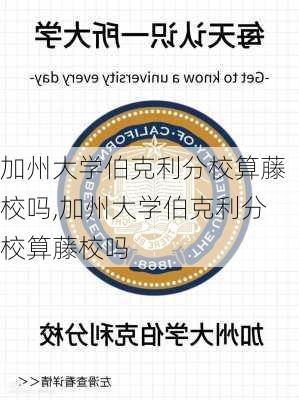 加州大学伯克利分校算藤校吗,加州大学伯克利分校算藤校吗