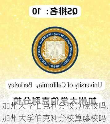 加州大学伯克利分校算藤校吗,加州大学伯克利分校算藤校吗