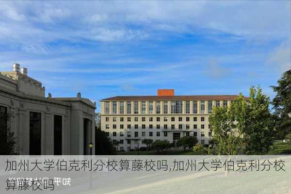 加州大学伯克利分校算藤校吗,加州大学伯克利分校算藤校吗