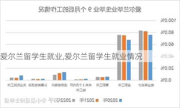 爱尔兰留学生就业,爱尔兰留学生就业情况