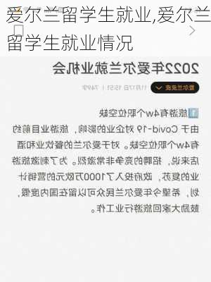 爱尔兰留学生就业,爱尔兰留学生就业情况