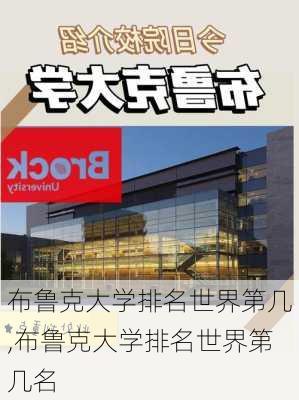 布鲁克大学排名世界第几,布鲁克大学排名世界第几名