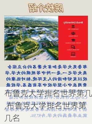 布鲁克大学排名世界第几,布鲁克大学排名世界第几名