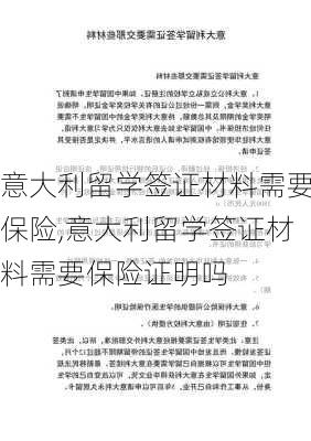 意大利留学签证材料需要保险,意大利留学签证材料需要保险证明吗