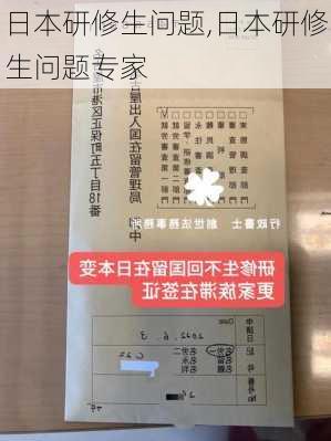 日本研修生问题,日本研修生问题专家