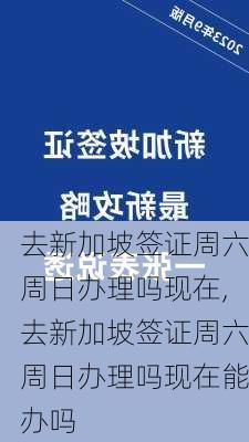 去新加坡签证周六周日办理吗现在,去新加坡签证周六周日办理吗现在能办吗