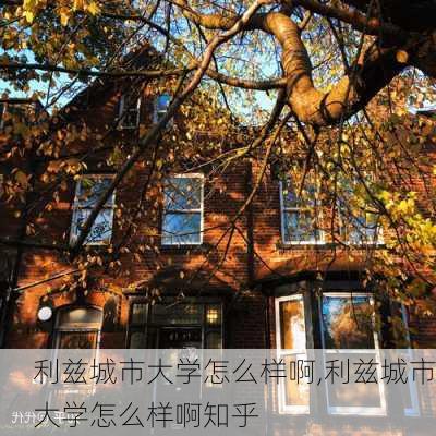 利兹城市大学怎么样啊,利兹城市大学怎么样啊知乎