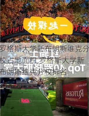 罗格斯大学新布朗斯维克分校占地面积,罗格斯大学新布朗斯维克分校排名