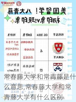 常春藤大学和常青藤是什么意思,常春藤大学和常青藤大学有什么区别