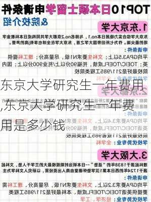 东京大学研究生一年费用,东京大学研究生一年费用是多少钱