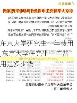 东京大学研究生一年费用,东京大学研究生一年费用是多少钱