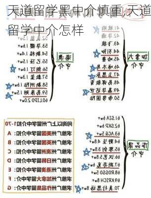 天道留学黑中介慎重,天道留学中介怎样