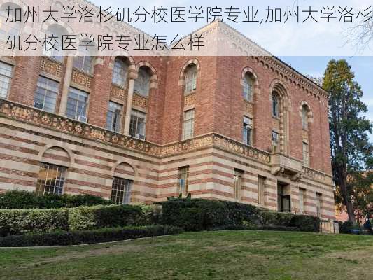 加州大学洛杉矶分校医学院专业,加州大学洛杉矶分校医学院专业怎么样