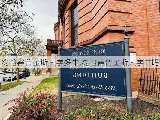 约翰霍普金斯大学多牛,约翰霍普金斯大学牛吗