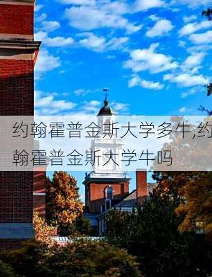 约翰霍普金斯大学多牛,约翰霍普金斯大学牛吗