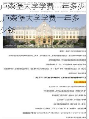 卢森堡大学学费一年多少,卢森堡大学学费一年多少钱