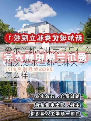 爱尔兰都柏林大学是什么档次,爱尔兰都柏林大学怎么样