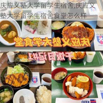 庆应义塾大学留学生宿舍,庆应义塾大学留学生宿舍食堂怎么样