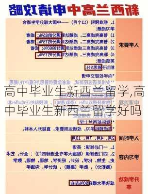 高中毕业生新西兰留学,高中毕业生新西兰留学好吗