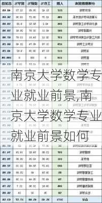 南京大学数学专业就业前景,南京大学数学专业就业前景如何