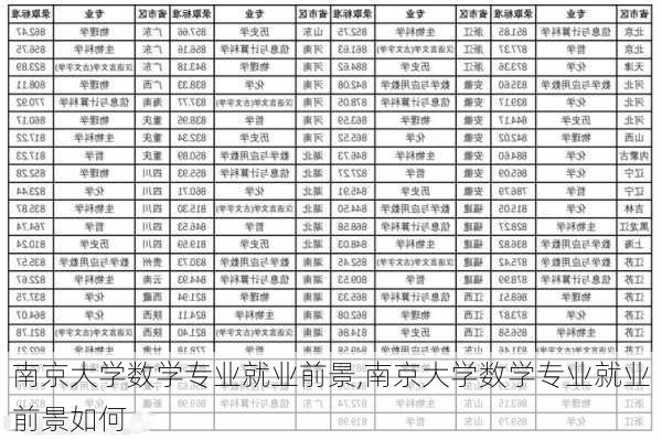 南京大学数学专业就业前景,南京大学数学专业就业前景如何